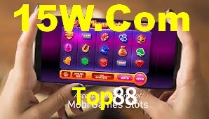 Premium Interface Top88